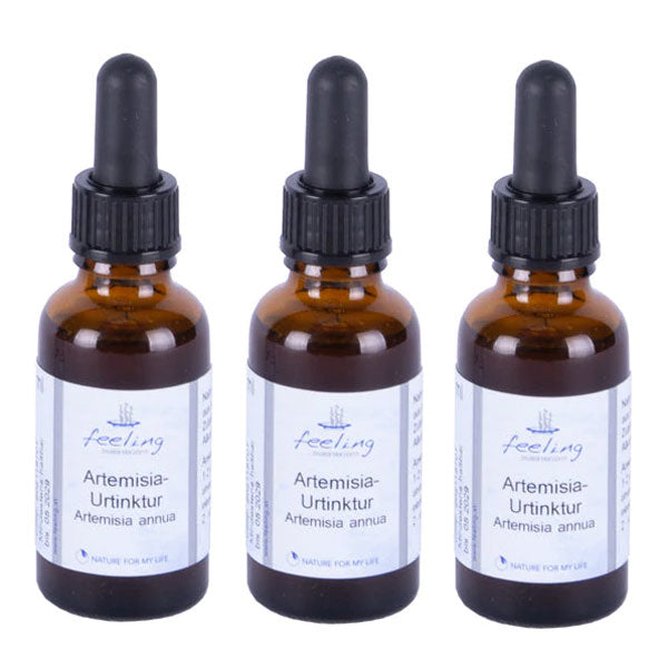 efeu urtinktur wirkung Artemisia Urtinktur KUR 3x 30 ml