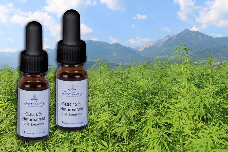 CBD Hanfextrakt 6 %