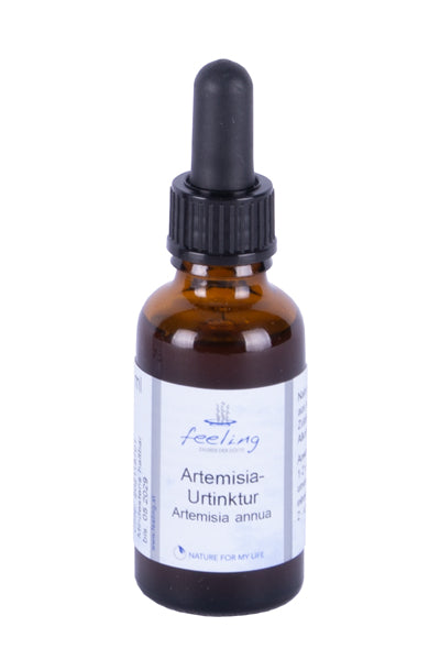 Artemisia annua Urtinktur